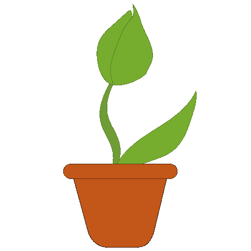 drawing of a flower bud